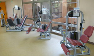 筋肉トレーニングマシン1